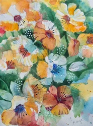 Vibrant Watercolor Pansies