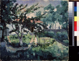 Summer Landscape