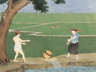 Work in Rice-Fields