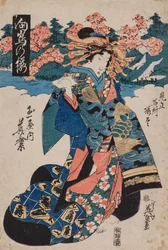 Cherry Blossom at Mukojima