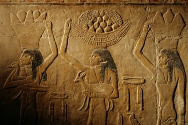 Women carrying bread, bird, goat and produce, tomb of Tiye, Egypt; Old Kingdom; Saqqara