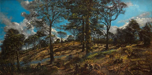 Bigbury Wood