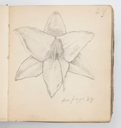 Sketchbook Page: Yellow Lily