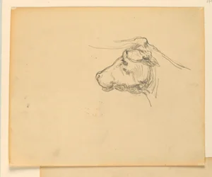 Study for 