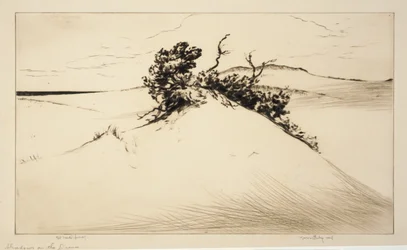 Shadows on the Dunes