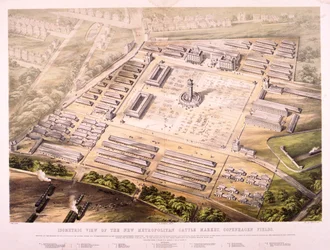 Metropolitan Cattle Market, London