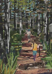 Oranjezon Forest, The Netherlands