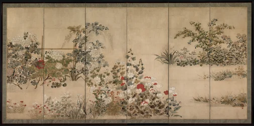Flowers and Grasses
