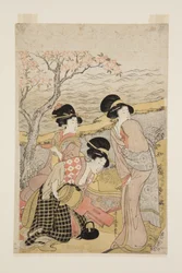 A Sake Party by the Sea