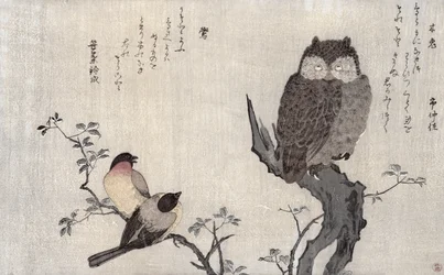 An Owl and two Eastern Bullfinches, from an album 