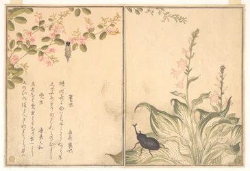 Bagworm (Minomushi); Horned Scarab Beetle (Kabutomushi), from the Picture Book of Crawling Creatures (Ehon mushi erami)