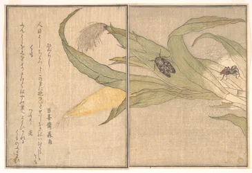 Evening Cicada, Higurashi; Spider, Kumo, from the Picture Book of Crawling Creatures (Ehon mushi erami)