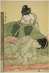 Mosquito Net for a Baby