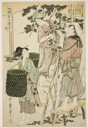 No. 2, from the series "Women Engaged in the Sericulture Industry"