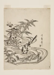 Sparrow