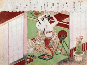 The toilet of the elegante