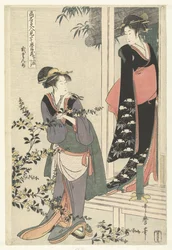 Two Women by a Blooming Yamabuki Shrub: The Second Act (Parody of the Chushingura by Famous Beauties)