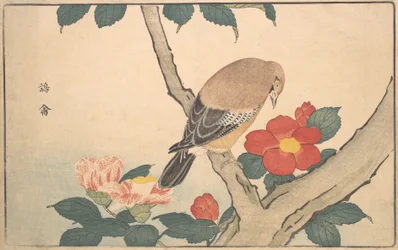 Camellias with a Bird
