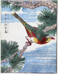 Bird on a Tree. Japanese Drawing by Kitao Kosuisai