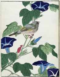 Bird on a tree. Japanese drawing by Kitao Kosuisai
