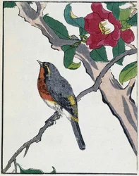 Japanese drawing by Kitao Kosuisai