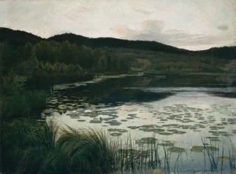 Summer Night