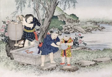 Goldfish from the Series 