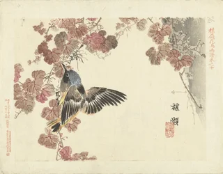 Bird and Red Vine