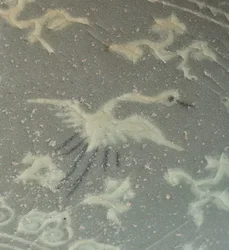 Bowl with cranes and clouds, c.1150-1200