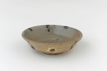 Dish