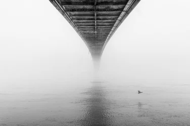 Misty Bridge and Bird