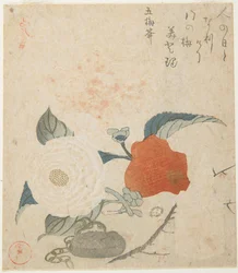 (Plum Branch, a Peony Flower and a Metal Seal)