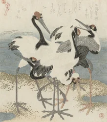 Cranes by the Water