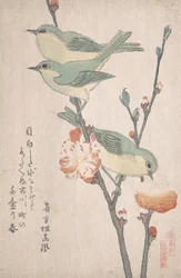 Japanese White-eyes on a Branch of Peach Tree