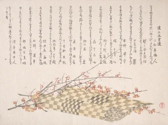 Plum Branches with Flowers and a Rolled Mat