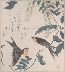 Swallows and Wisteria