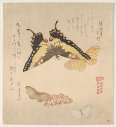 The Painting Manual of Flock of Butterflies (Guncho Gafu)