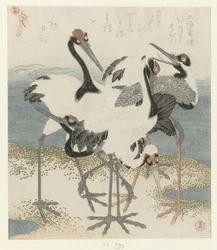 Five Cranes