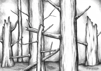 Barren Forest Drawing
