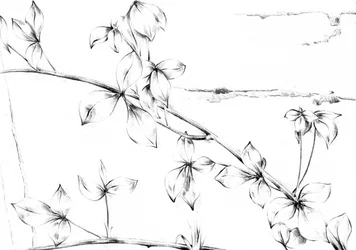 Delicate Floral Vine