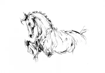 Dynamic Horse Sketch