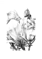 Elegant Floral Study