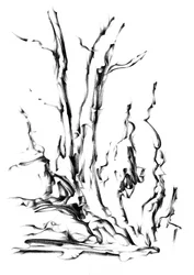 Flowing Abstract Branches