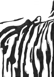 Fluid Zebra Pattern