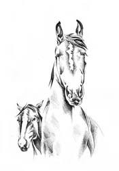 Gentle Horse Family
