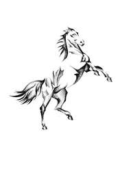 Majestic Rearing Horse