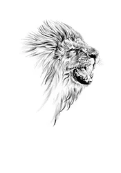 Majestic Roaring Lion