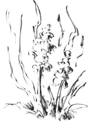 Monochrome Floral Grace