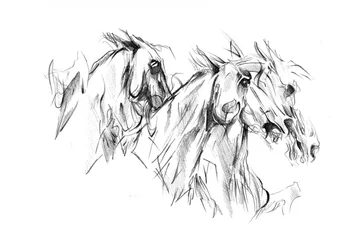 Running Wild Horses