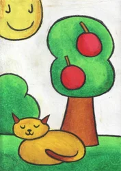 Sleeping Cat Sunny Day